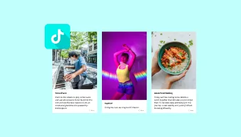 TikTok Feed  logo